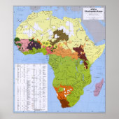 AFRICA CIA ETHNOLINGUISTIC MAP POSTER (Vorne)