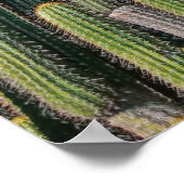 Africa Desert Cactus Pflanze Prickly Pear Poster (Ecke)