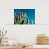 Africa Desert Cactus Pflanze Prickly Pear Poster (Küche)