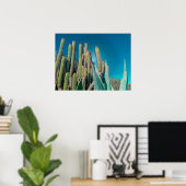 Africa Desert Cactus Pflanze Prickly Pear Poster (Heimbüro)