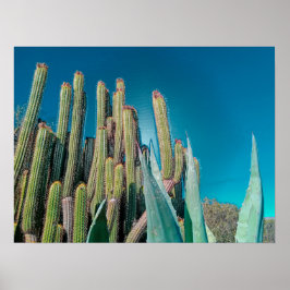 Africa Desert Cactus Pflanze Prickly Pear Poster