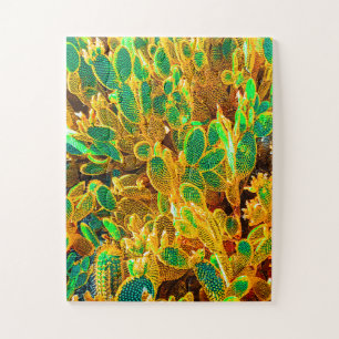 Africa Desert Cactus Pflanze Prickly Pear Puzzle
