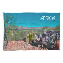 Africa Desert Landscape Nature Cactus Pflanze