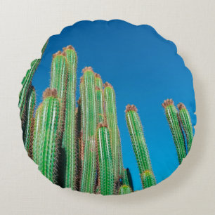 Africa Desert Landscape Nature Cactus Pflanze Rundes Kissen