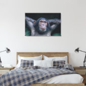 Africa, East Africa, Tansania, Gombe National Leinwanddruck (Insitu (Schlafzimmer))