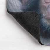 Africa, East Africa, Tansania, Gombe National Mousepad (Ecke)