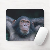 Africa, East Africa, Tansania, Gombe National Mousepad (Mit Mouse)