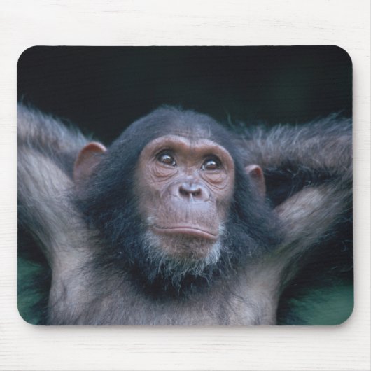 Africa, East Africa, Tansania, Gombe National Mousepad (Vorne)