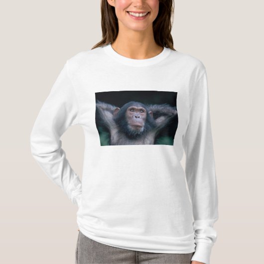 Africa, East Africa, Tansania, Gombe National T-Shirt (Vorderseite)