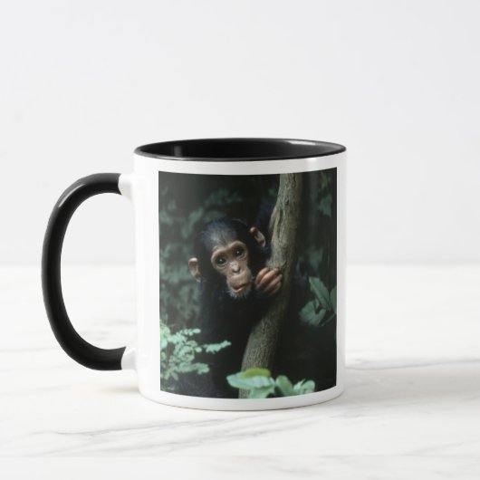 Africa, East Africa, Tansania, Gombe National Tasse (Links)