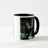 Africa, East Africa, Tansania, Gombe National Tasse (VorderseiteRechts)