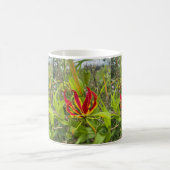 Africa Flame Lily 15 Oz Tasse (Mittel)