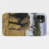 Africa, Kenia, Maasai Mara. An elehpant Case-Mate iPhone Hülle (Rückseite (Horizontal))