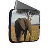 Africa, Kenia, Maasai Mara. An elehpant Laptopschutzhülle (Vorne Rechts)