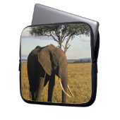 Africa, Kenia, Maasai Mara. An elehpant Laptopschutzhülle (Vorderseite Links)
