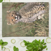 Africa; Kenia; Masai Mara; Three cheetah cubs Geschirrtuch (Gefaltet)