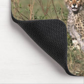 Africa; Kenia; Masai Mara; Three cheetah cubs Mousepad (Ecke)