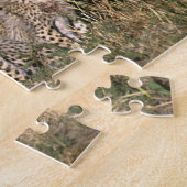 Africa; Kenia; Masai Mara; Three cheetah cubs Puzzle (Seite)