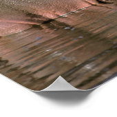 Africa, Kenya, Masai Mara. Common hippopotamuses Poster (Ecke)