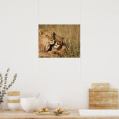 Africa, Kenya, Masai Mara Game Reserve, Young Poster (Küche)