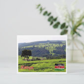 Africa - Kenya - Panorama - Postkarte (Stehend Vorderseite)