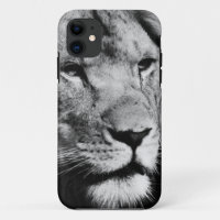 Africa-Löwe-Makro