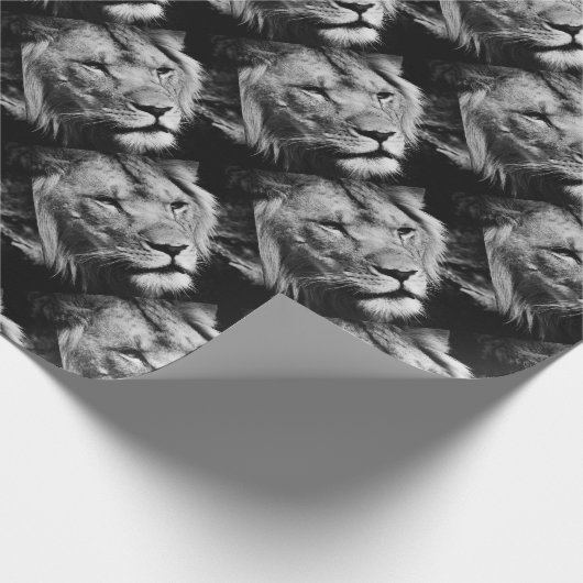 Africa-Löwe-Makro Geschenkpapier (Ecke)