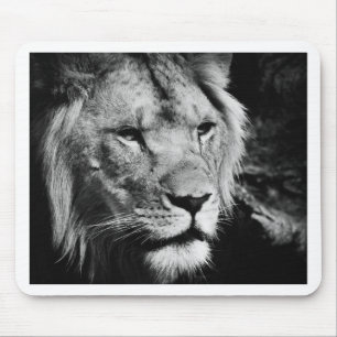 Africa-Löwe-Makro Mousepad