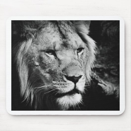 Africa-Löwe-Makro Mousepad (Vorne)