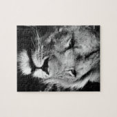 Africa-Löwe-Makro Puzzle (Horizontal)