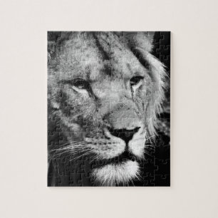 Africa-Löwe-Makro Puzzle
