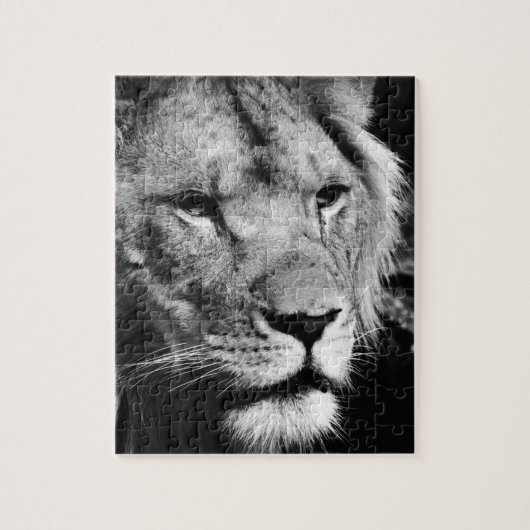 Africa-Löwe-Makro Puzzle (Vertikal)