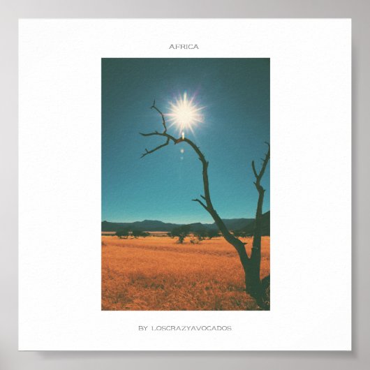 Africa Savannah Grass Tree View Panorama Poster (Vorne)