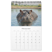 Africa Wildlife Calendar 2026 / African Animals Kalender (Feb 2026)