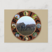 Africa Wildlife Circle Elephant Herd Mist Postkarte (Vorderseite)