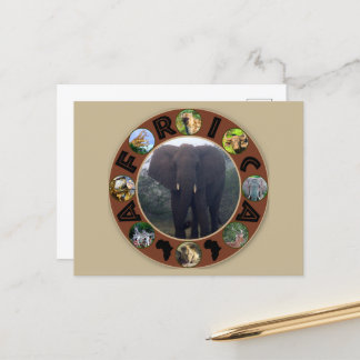 Africa Wildlife Circle Elephant Mist Postkarte