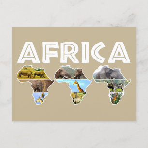 Africa Wildlife Continent Trio Collage Feiertagspostkarte
