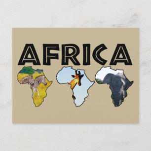 Africa Wildlife Continent Trio Feiertagspostkarte