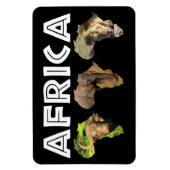 Africa Wildlife Continent Trio Magnet (Vertikal)