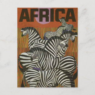 Africa Zebra Vintage Travel Postcard Postkarte