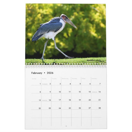 African animals 12 month calendar kalender (Feb 2026)