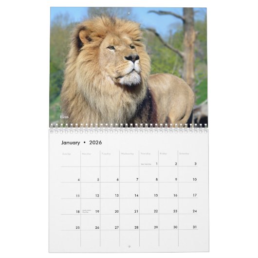 African animals 12 month calendar kalender (Jan 2026)