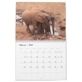 African Animals 2026 Calendar Kalender (Feb 2027)