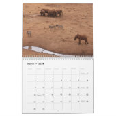 African Animals 2026 Calendar Kalender (Mär 2026)