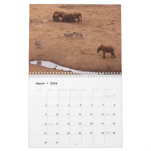 African Animals 2026 Calendar Kalender (Mär 2026)