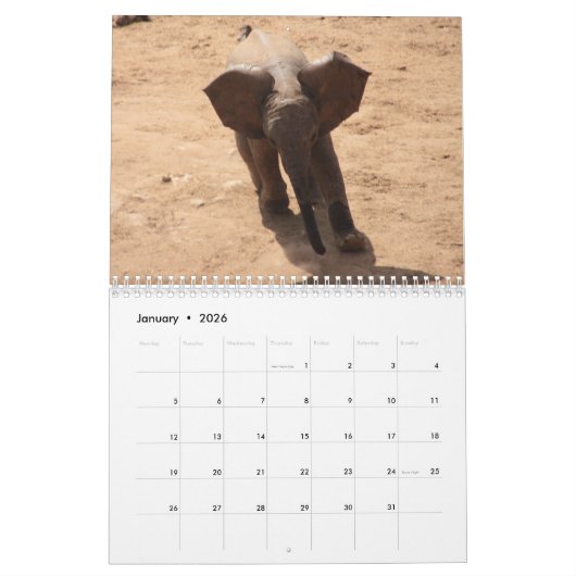 African Animals 2026 Calendar Kalender (Jan 2026)