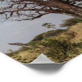 African Baobab Tree Poster (Ecke)