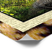 African Beauty Poster (Ecke)