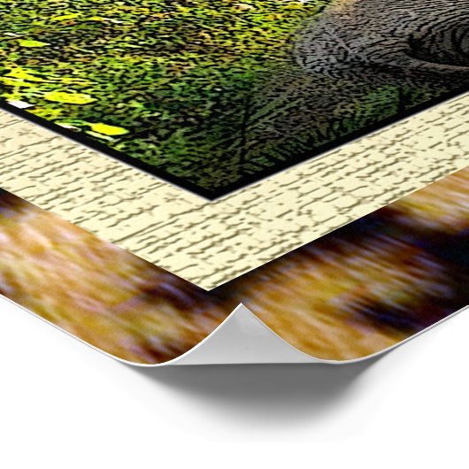 African Beauty Poster (Ecke)