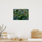 African Blue Basil Poster (Küche)